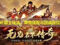 传奇SF道士玩法：宠物搭配与团战定位解析